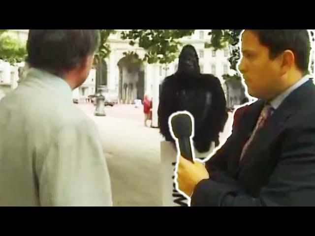 TV Reporter Tackles a Gorilla | Trigger Happy TV