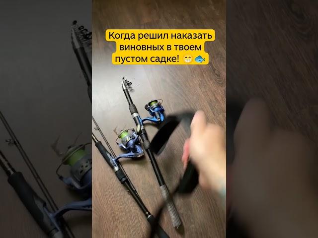 хорошо, когда есть кого наказать за неудачи на рыбалке! #рыбалка #наказание #улов
