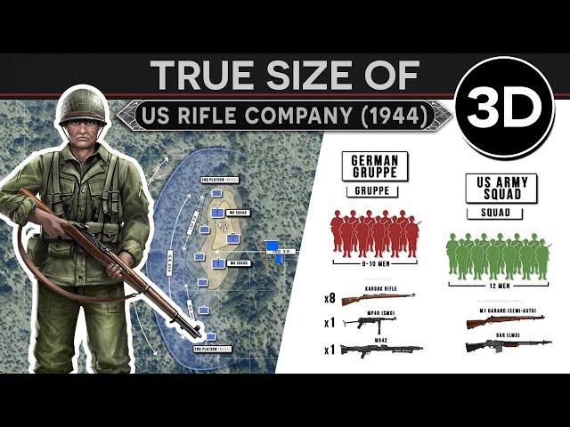 How the US Goes to War? - Anatomy and Tactics of an Army Rifle Company (June 1944) 3D DOCUMENTARY