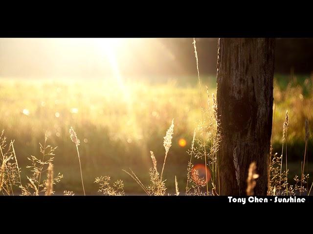 Tony Chen - Sunshine