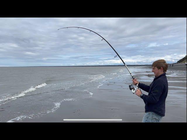 What Can We Catch Fishing From The Beach In Alaska