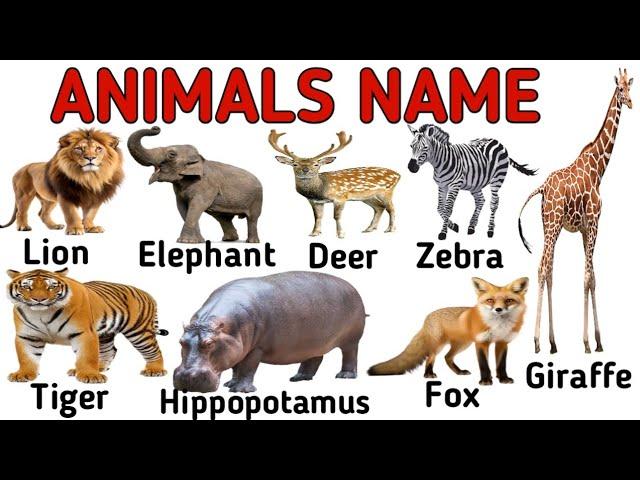 ANIMALS !! Animals Name with Facts and Pictures | Animals Name For kids