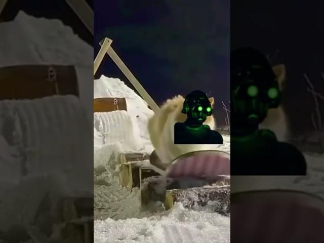 psa: cloaker