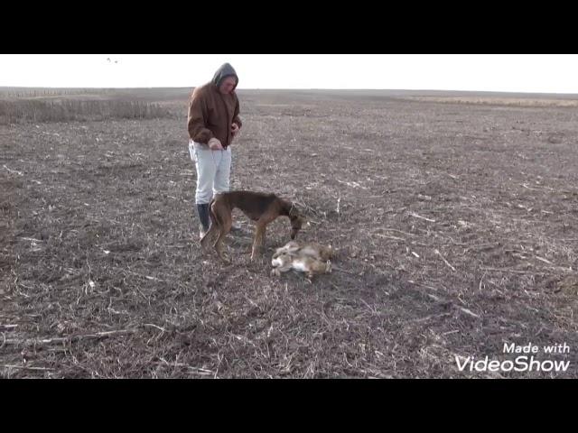 Lucas Martínez, Encuentro 16 . 2020
