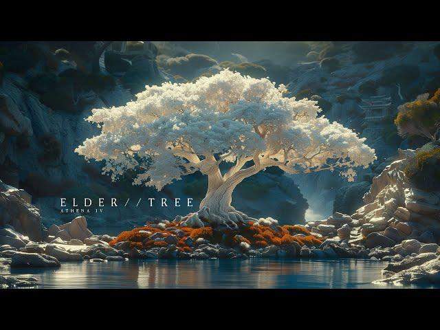 Elder Tree - Japanese Zen Music by the Ocean