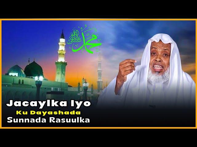 Jacaylka Iyo Ku Dayashada Sunnada Rasuulka SCW || Sh. Maxamed Kaariye