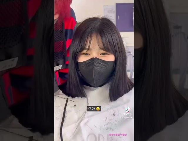 테슬컷+모즈펌해주세요