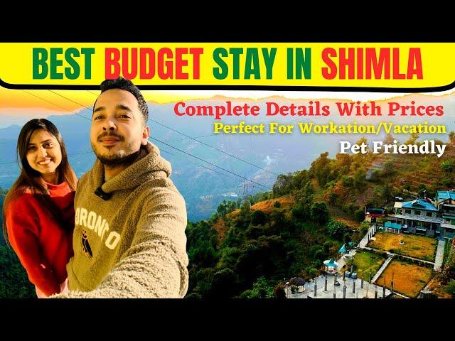 Unbelievable Deal! 15 Days in Shimla's Best Homestay For Only Rs. 10,000? Our Homestay Tour Revealed