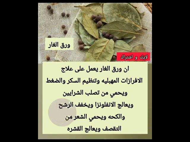 #معلومات #حكمة_الحياة #حكمة_اليوم #حكمة_رائعة #اقوال_الجوكر #shortvideo#حكم