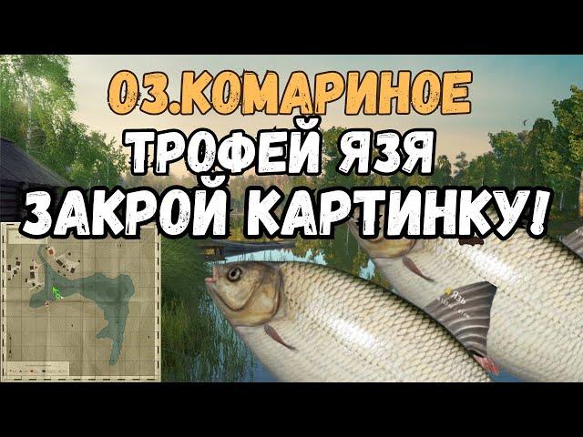 РАЗДАЧА ЯЗЯ /оз.Комариное ● Русская Рыбалка 4 | РР4