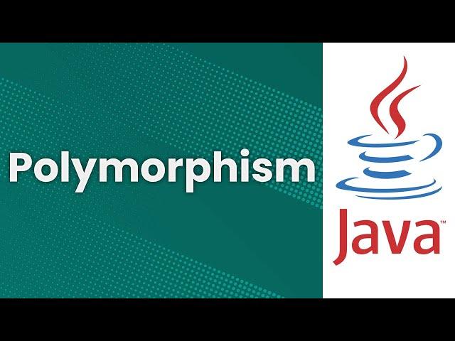 Polymorphism (Java Tutorial)