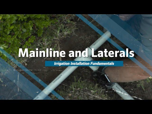 Hunter IIF Training: Mainline and Laterals