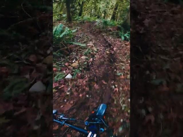 Sculpted Loam Rhythm Rut Track #shorts