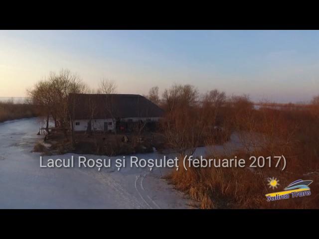 Delta Dunarii iarna (filmare aeriana - full HD) the Danube Delta winter