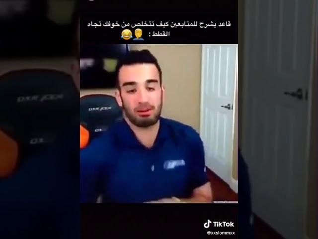 قاعد يشرح كيف تتخلص من خوفك تجاه القطط
