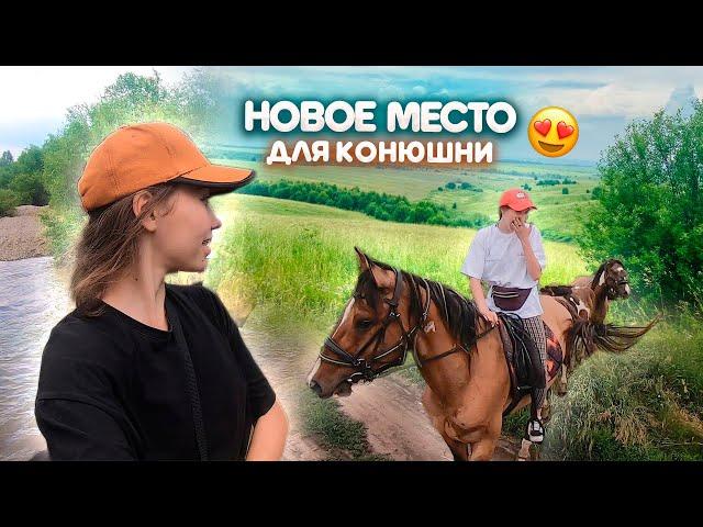 Переводим лошадей на НОВОЕ МЕСТО ! Конная прогулка ВЛОГ