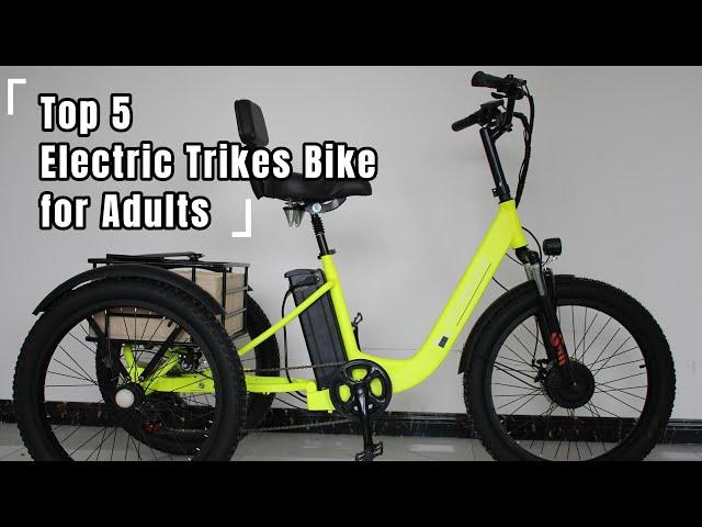 Top 5 Electric Trikes Bike for Adults | The Best E-tricycle 2024 in Tianjin Anyida Trikes Factory