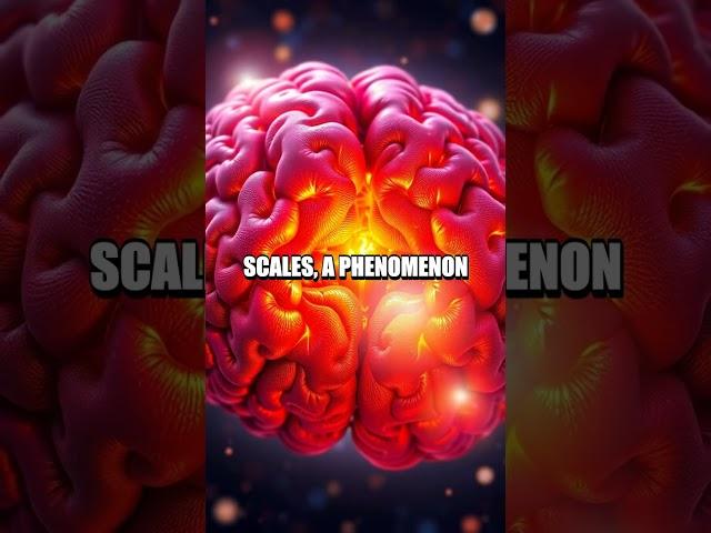 The Brain's Fractal Genius