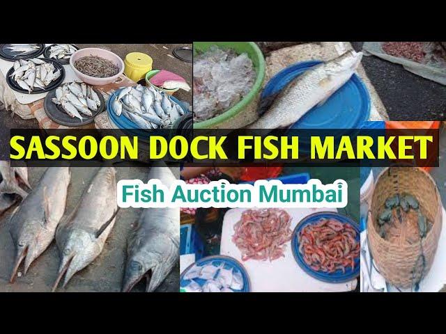 Biggest Fish Market in mumbai!Sassoon Dock Fish Market!! Colaba fish market !!Fish Auction in mumbai