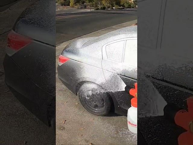PhoenixEOD Apex Auto Wash 2.0! BETTER FOAM, MORE SLICKNESS, LESS PRODUCT USED! ITS A WINNER!
