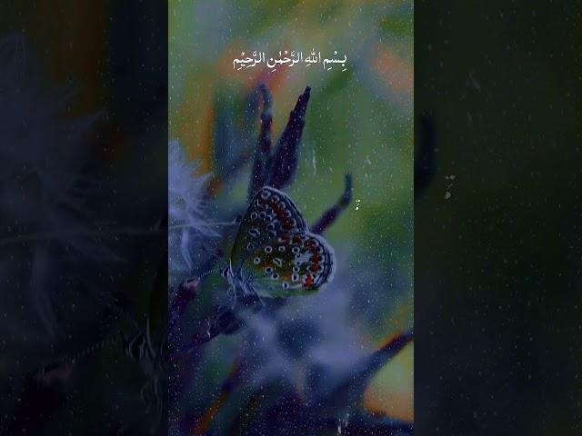 Surah Al Kausar