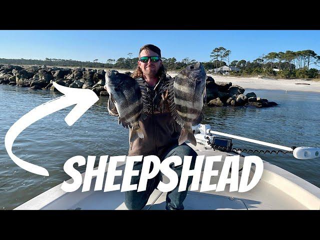 Try THIS Bait For Catching MORE SHEEPSHEAD AND SAVE MONEY