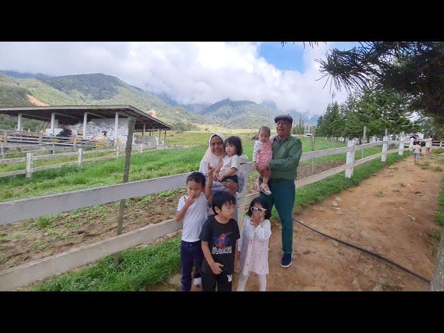 Sabah Family Trip Part II - Rumah Tokman & Desa Dairy Farm di Kundasang