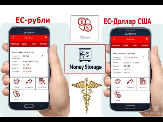 Обмен ЕК-рубли на ЕК-Доллар США в Money Storage