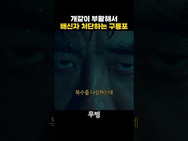 배신자 처단하는 구룡포