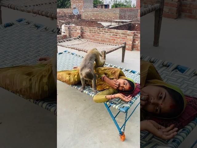 Itni kirpa sanware banaye rakhna #shree_krishna_ringtone #monkeyvideosforkids #monkey