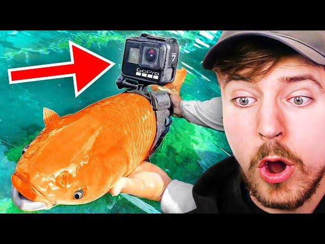 I Strapped A GoPro To A Fish!