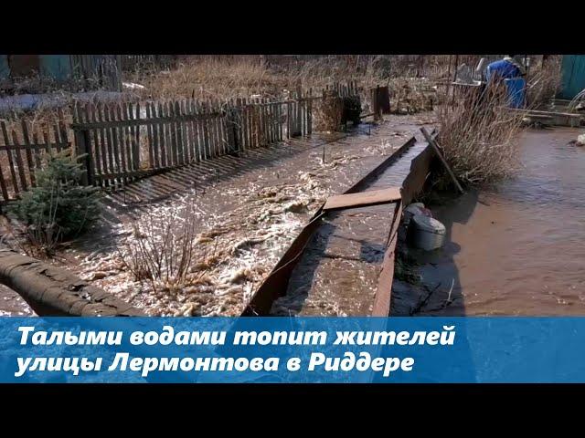 Талыми водами топит жителей улицы Лермонтова в Риддере (14.04.2021)