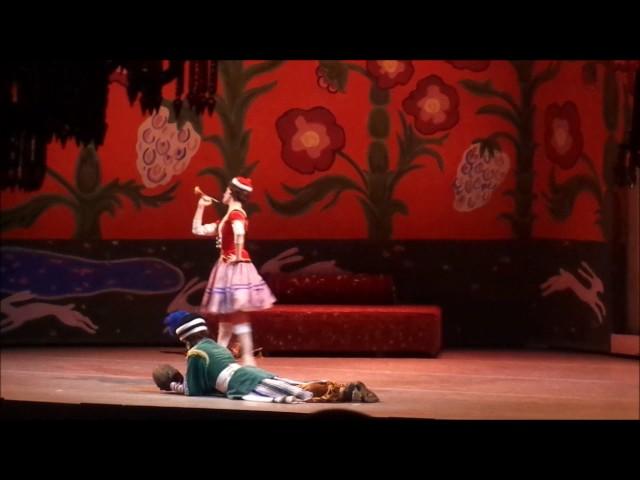 A.Sergeev - Pétrouchka. 19/02/2017 (Mariinsky Theatre)