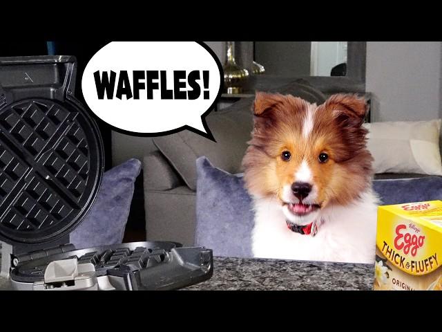 Can't STOP Thinking about WAFFLES!  Poor Baby Kev! e954