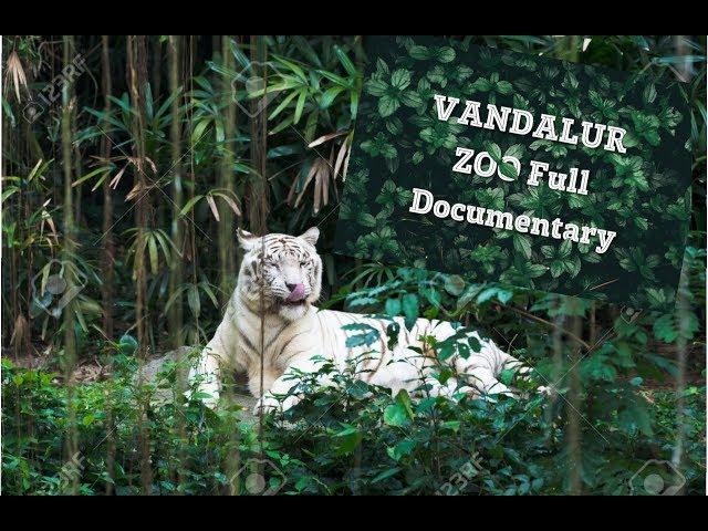 VANDALUR ZOO,Chennai - FULL TOUR HD
