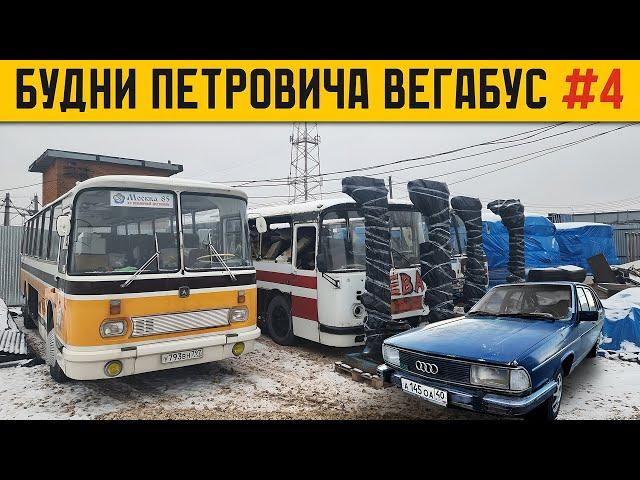 Чуть не СЖЁГ проводку на автобусе ЛАЗ-699Р / AUDI-100 на новых колёсах / БУДНИ ПЕТРОВИЧА ВегаБус #4