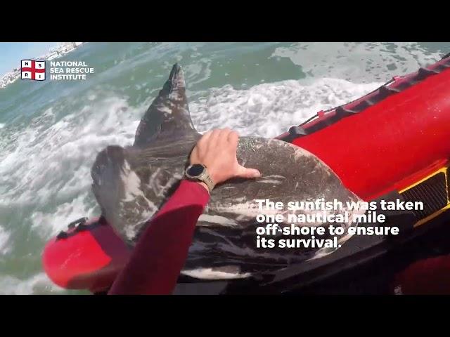 NSRI Sunfish Rescue