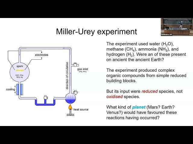 Do Giant Impacts Kickstart Rocky Planet Habitability?