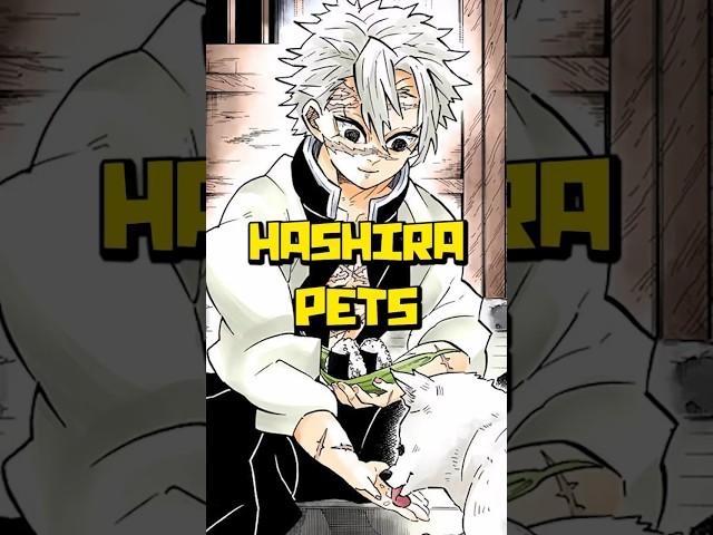 Every Hashira's Secret Pets Revealed | Demon Slayer Hashira Favorite Animals Explained