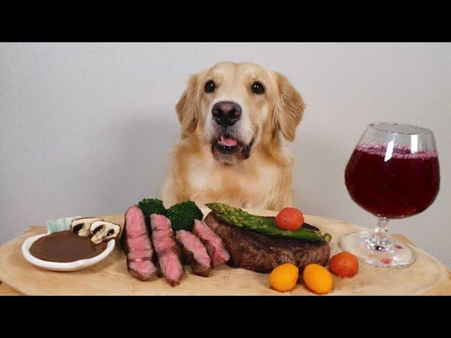 Dog Steak & Wine MUKBANG ASMR /Golden Retriever Food Review