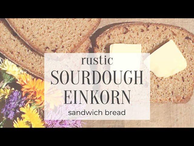 Rustic Einkorn Sandwich Bread