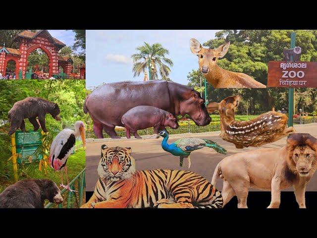 Thiruvananthapuram Zoo | Biggest Zoo in Kerala | തിരുവനന്തപുരം മൃഗശാല | Trivandrum Zoo