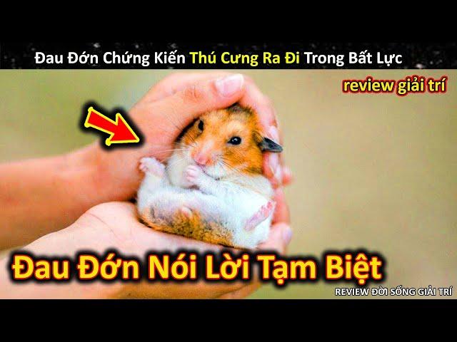 Đau Lòng Chứng Kiến Pet Cưng Ra Đi Nhưng Bản Thân Đành Bất Lực || Review Giải Trí Đời Sống