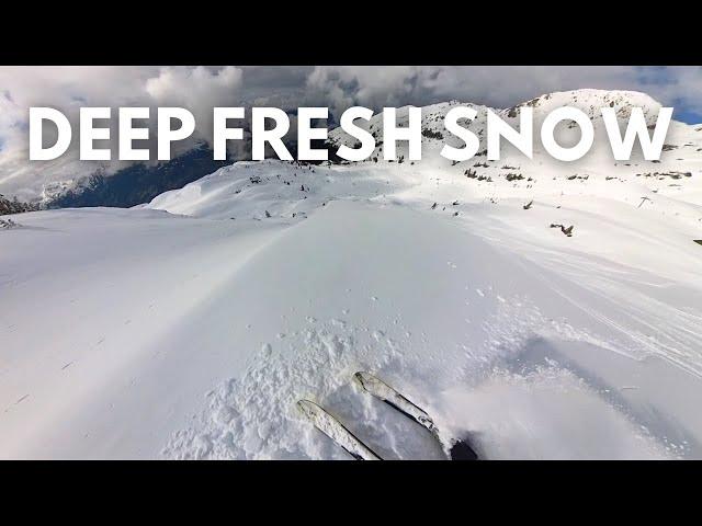 Zillertal Arena's Powder SECRET