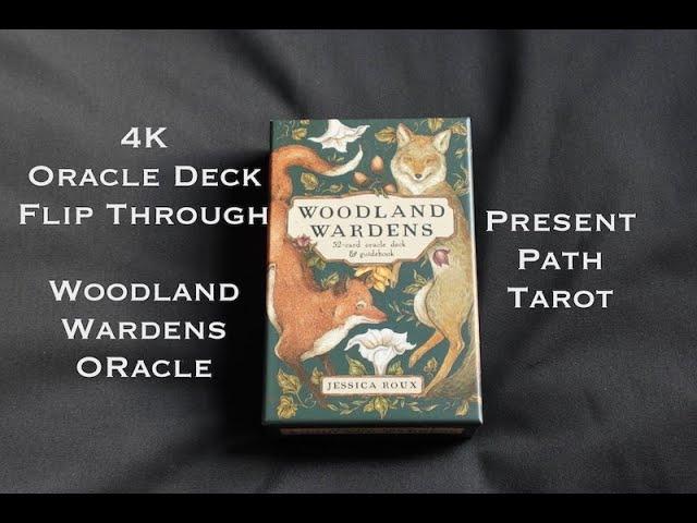 Woodland Wardens Oracle Deck 4K Flip Through