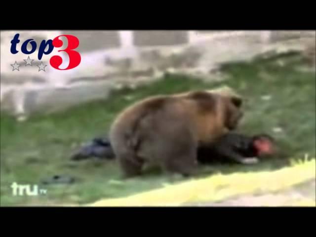 Top 3 Worst Bear Attacks in History