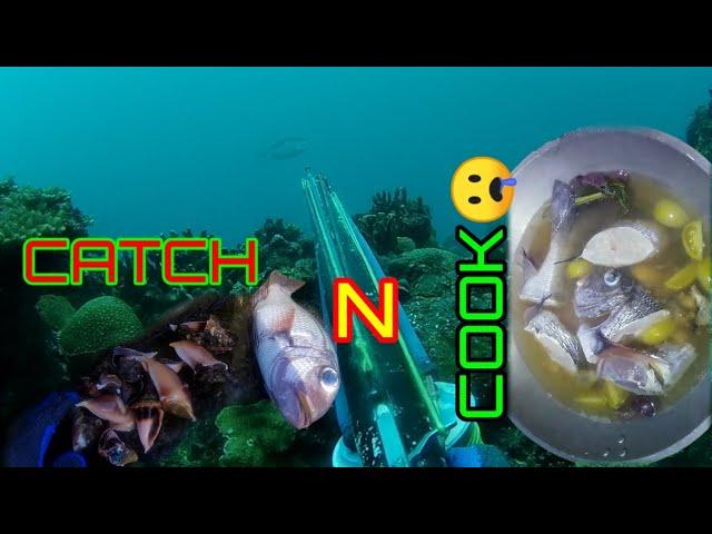 CATCH N COOK||\#fishing #CATCHANDCOOK #EASTERNSAMARSPEARFISHING