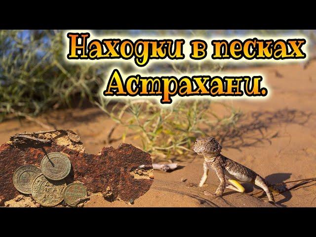 Находки есть! ОБНАРУЖИЛ В ПЕСКАХ АСТРАХАНИ,ЦАРСКИЕ МОНЕТЫ-ПОИСК МОНЕТ И КЛАДОВ С МЕТАЛЛОИСКАТЕЛЕМ.