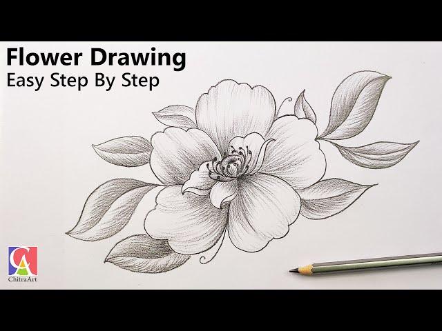 Flower Drawing Easy with Pencil Shading | How To Draw Flowers