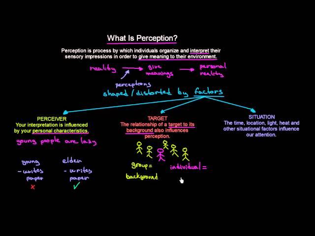 What is Perception | Organisational Behavior | MeanThat